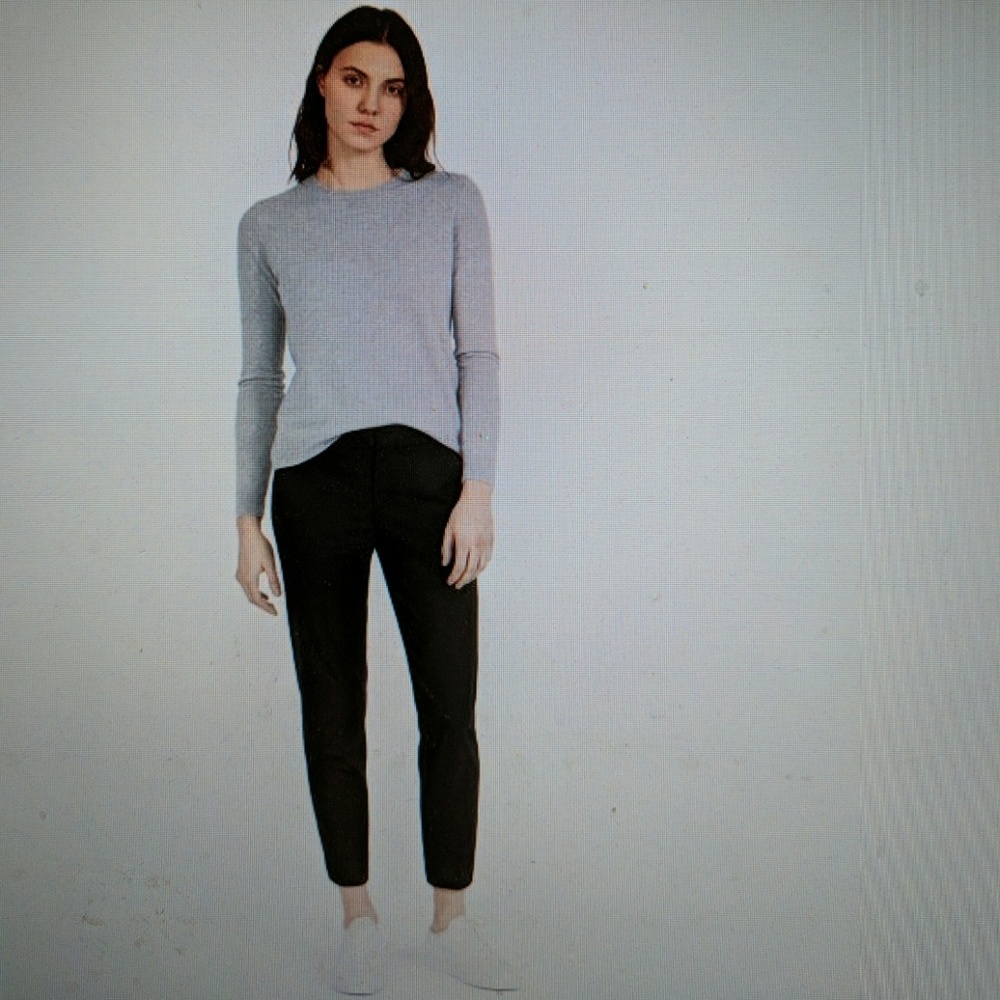Everlane The Slim Trousers in Navy Blue sz 2